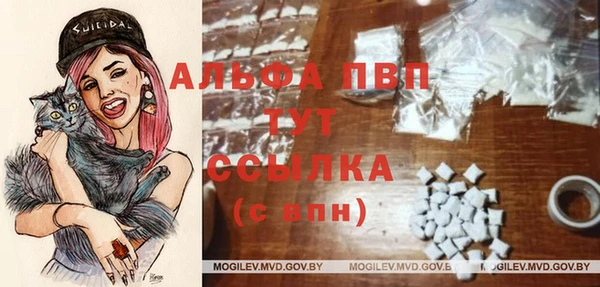 сатива Белоозёрский
