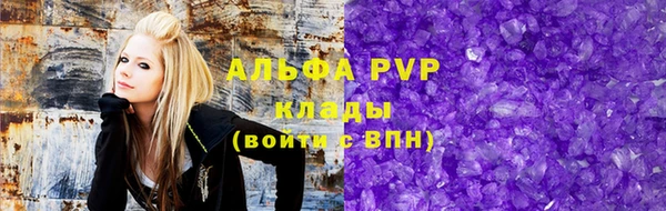 сатива Белоозёрский