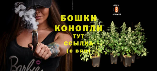 сатива Белоозёрский